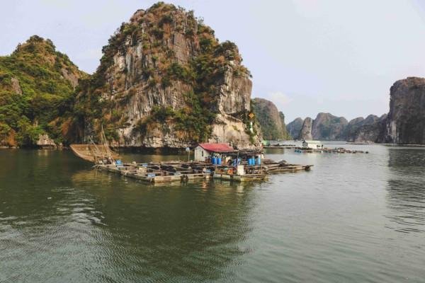 Vietnam Melejit di Google, Ungguli Indonesia sebagai Tujuan Wisata Terpopuler!