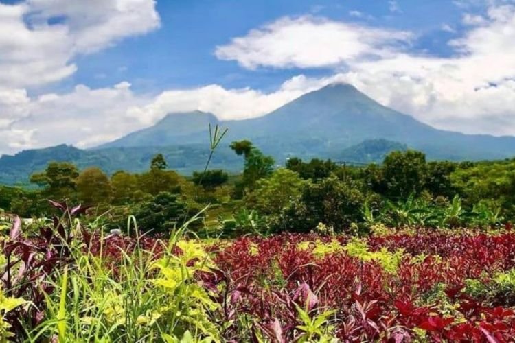 Liburan Sempurna di Mojokerto: 6 Tempat Wisata dengan Pemandangan Pegunungan yang Menjadikan Anda Malas untuk Pulang